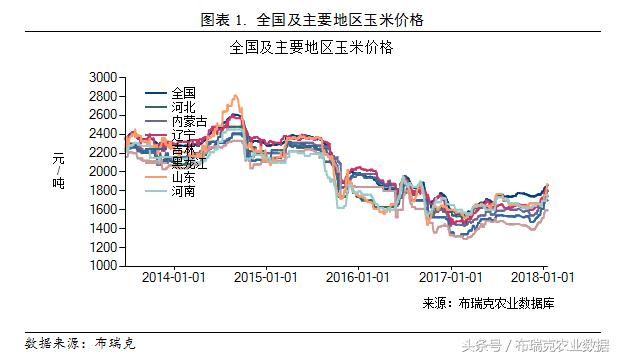 山东玉米今日最新价格动态分析